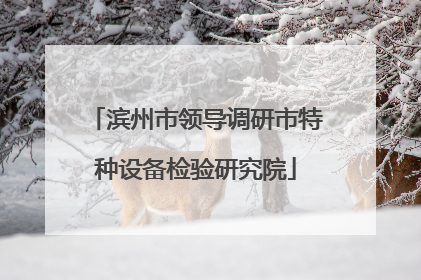 滨州市领导调研市特种设备检验研究院