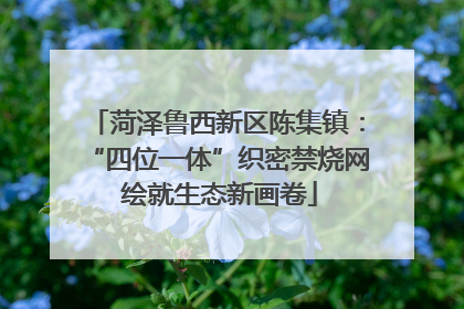 菏泽鲁西新区陈集镇：“四位一体”织密禁烧网 绘就生态新画卷