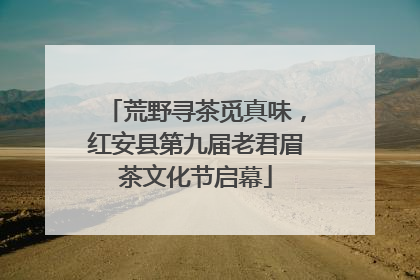 荒野寻茶觅真味，红安县第九届老君眉茶文化节启幕
