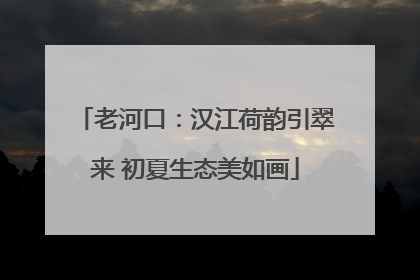 老河口：汉江荷韵引翠来 初夏生态美如画