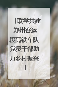 联学共建 郑州客运段高铁车队党员干部助力乡村振兴