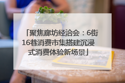 聚焦廊坊经洽会：6街16巷消费市集搭建沉浸式消费体验新场景