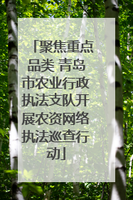 聚焦重点品类 青岛市农业行政执法支队开展农资网络执法巡查行动