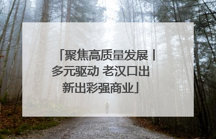 聚焦高质量发展丨多元驱动 老汉口出新出彩强商业