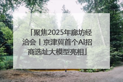 聚焦2025年廊坊经洽会丨京津冀首个AI招商选址大模型亮相