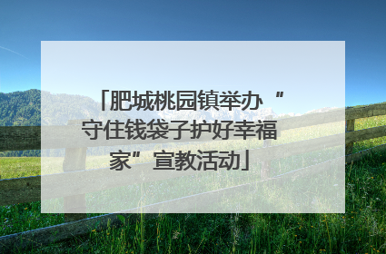 肥城桃园镇举办“守住钱袋子护好幸福家”宣教活动