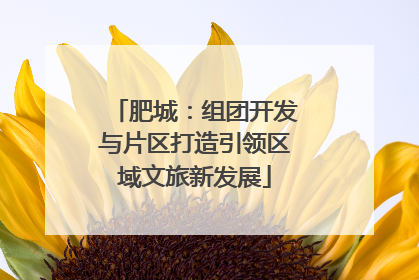 肥城：组团开发与片区打造引领区域文旅新发展