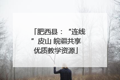 肥西县：“连线”皮山 皖疆共享优质教学资源