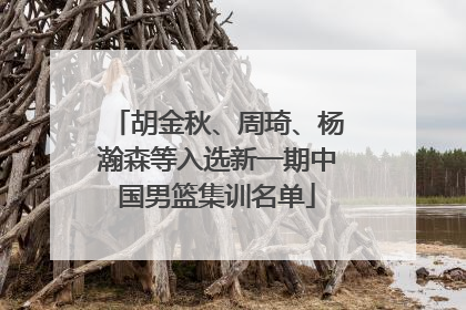 胡金秋、周琦、杨瀚森等入选新一期中国男篮集训名单