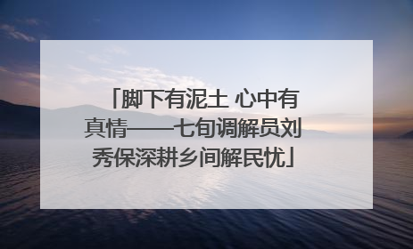 脚下有泥土 心中有真情——七旬调解员刘秀保深耕乡间解民忧