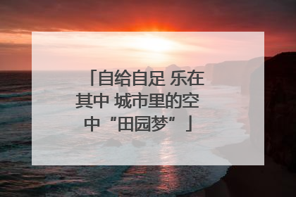 自给自足 乐在其中 城市里的空中“田园梦”