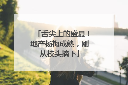 舌尖上的盛夏！地产杨梅成熟，刚从枝头摘下