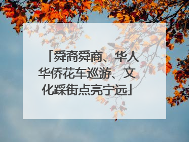 舜裔舜商、华人华侨花车巡游、文化踩街点亮宁远