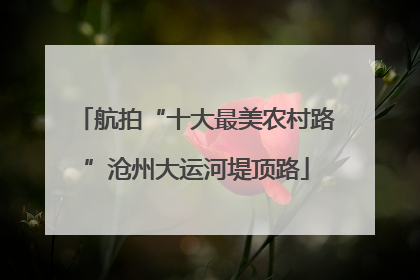 航拍“十大最美农村路”沧州大运河堤顶路