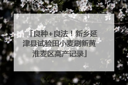 良种+良法！新乡延津县试验田小麦刷新黄淮麦区高产记录