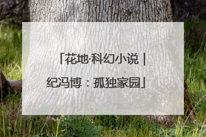 花地·科幻小说｜纪冯博：孤独家园