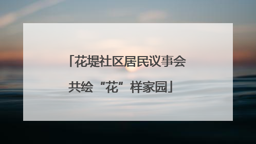 花堤社区居民议事会共绘“花”样家园