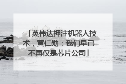 英伟达押注机器人技术，黄仁勋：我们早已不再仅是芯片公司