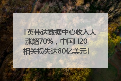 英伟达数据中心收入大涨超70%，中国H20相关损失达80亿美元