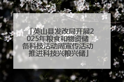 英山县发改局开展2025年粮食和物资储备科技活动周宣传活动 推进科技兴粮兴储