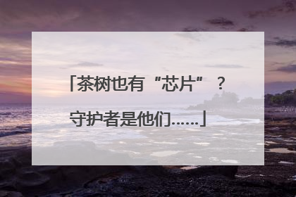茶树也有“芯片”？守护者是他们……
