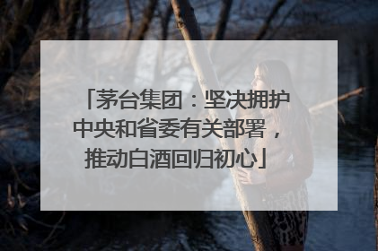 茅台集团：坚决拥护中央和省委有关部署，推动白酒回归初心