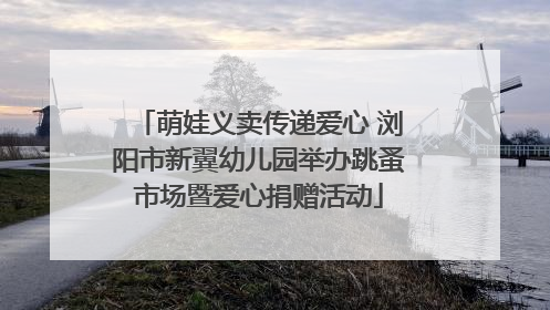 萌娃义卖传递爱心 浏阳市新翼幼儿园举办跳蚤市场暨爱心捐赠活动