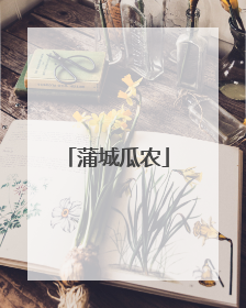 蒲城瓜农
