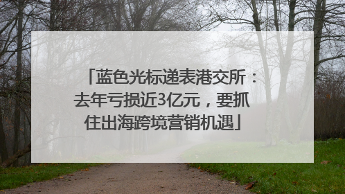 蓝色光标递表港交所：去年亏损近3亿元，要抓住出海跨境营销机遇