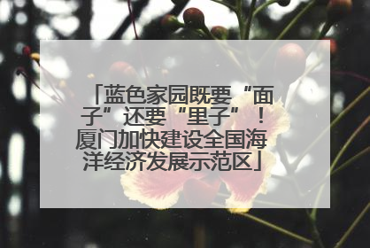 蓝色家园既要“面子”还要“里子”！厦门加快建设全国海洋经济发展示范区