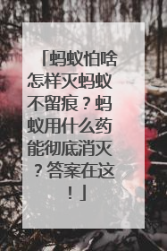 蚂蚁怕啥怎样灭蚂蚁不留痕？蚂蚁用什么药能彻底消灭？答案在这！