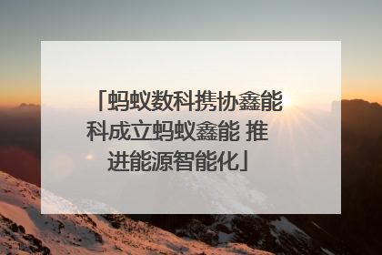 蚂蚁数科携协鑫能科成立蚂蚁鑫能 推进能源智能化