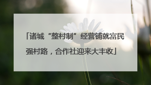 诸城“整村制”经营铺就富民强村路，合作社迎来大丰收