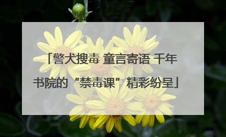 警犬搜毒 童言寄语 千年书院的“禁毒课”精彩纷呈