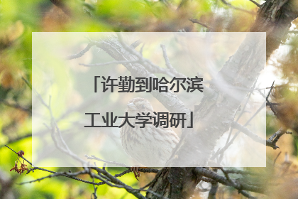 许勤到哈尔滨工业大学调研