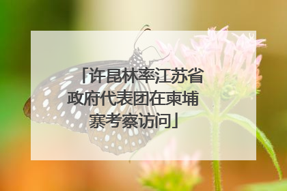 许昆林率江苏省政府代表团在柬埔寨考察访问