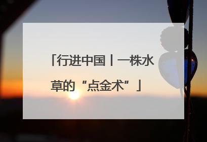 行进中国丨一株水草的“点金术”