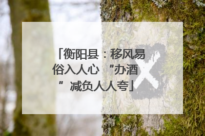 衡阳县：移风易俗入人心 “办酒”减负人人夸
