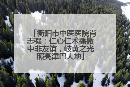 衡阳市中医医院肖志强：仁心仁术播撒中非友谊，岐黄之光照亮津巴大地