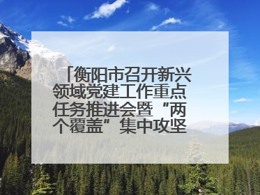 衡阳市召开新兴领域党建工作重点任务推进会暨“两个覆盖”集中攻坚工作专班 第一次会议