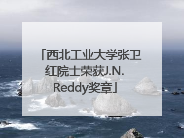 西北工业大学张卫红院士荣获J.N.Reddy奖章