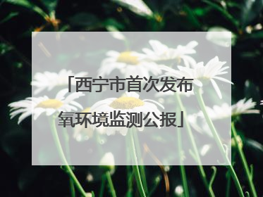 西宁市首次发布氧环境监测公报