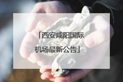 西安咸阳国际机场最新公告