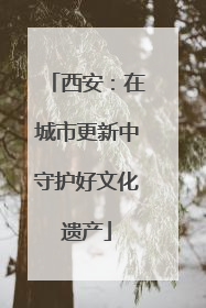 西安：在城市更新中守护好文化遗产