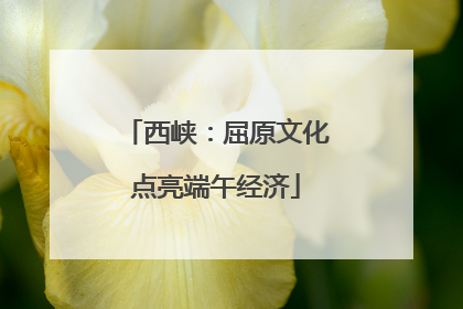 西峡：屈原文化点亮端午经济