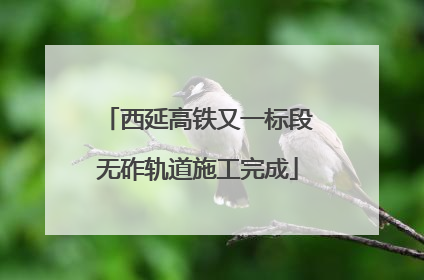 西延高铁又一标段无砟轨道施工完成
