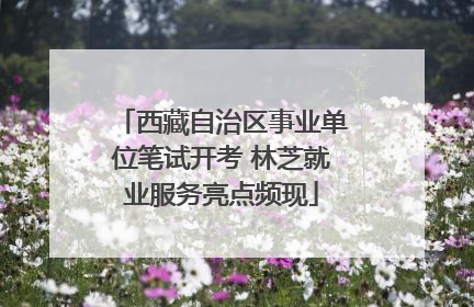 西藏自治区事业单位笔试开考 林芝就业服务亮点频现