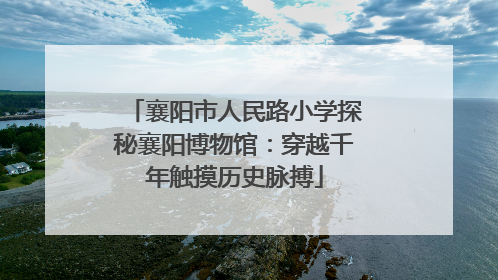 襄阳市人民路小学探秘襄阳博物馆：穿越千年触摸历史脉搏