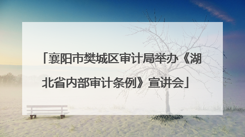 襄阳市樊城区审计局举办《湖北省内部审计条例》宣讲会