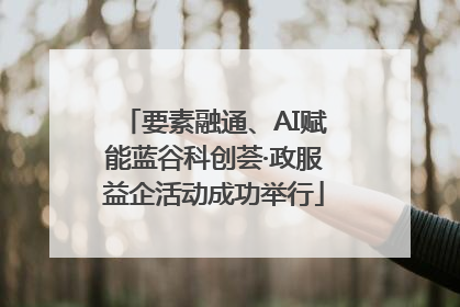 要素融通、AI赋能蓝谷科创荟·政服益企活动成功举行